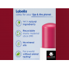 LABELLO MELT-IN MOISTURE CHERRY SHINE — CARING LIP BALM​ 4.8G/ 5.5 ML